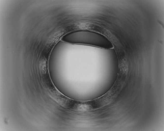 X0000102820360200808251116