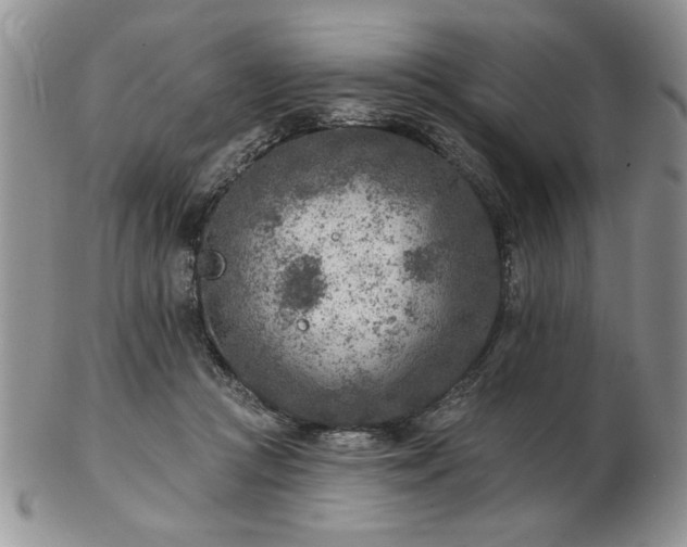 X0000102820361200808251116