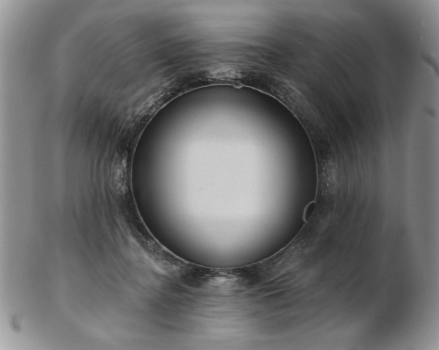 X0000102820364200808251116