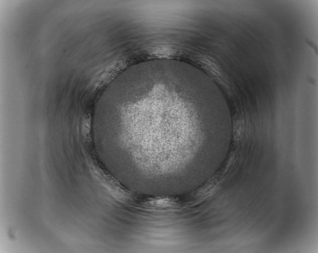 X0000102820365200808251116