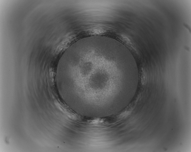 X0000102820366200808251116