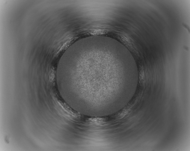 X0000102820367200808251116