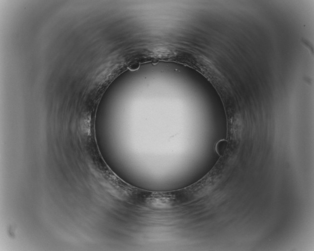 X0000102820368200808251116