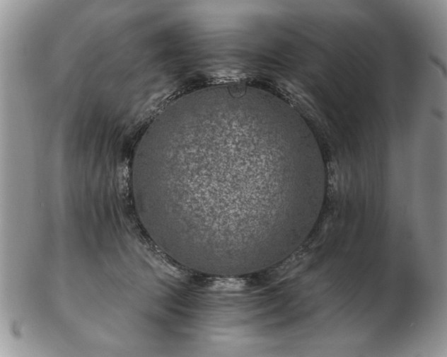 X0000102820369200808251116