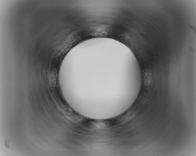 X0000102820370200808251116