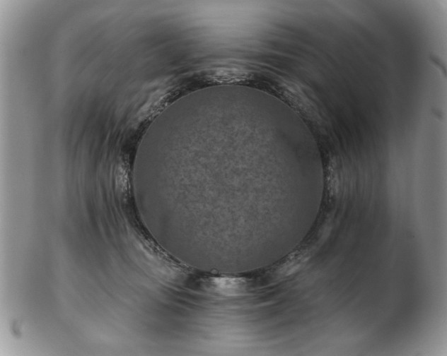 X0000102820371200808251116