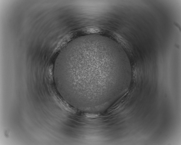 X0000102820373200808251116