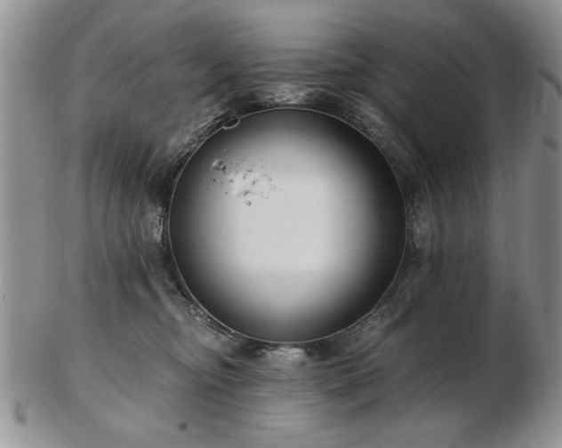 X0000102820374200808251116