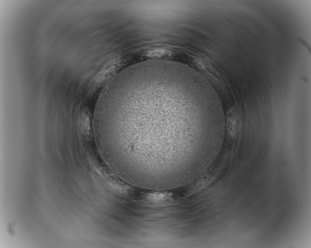 X0000102820375200808251116