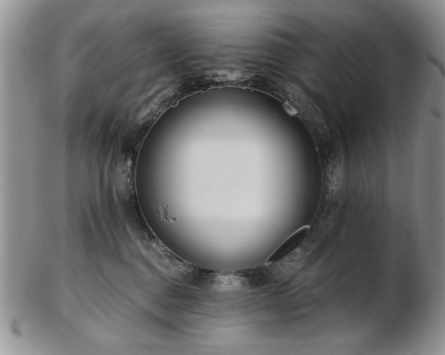 X0000102820376200808251116
