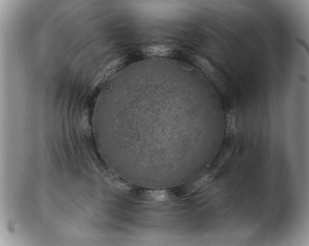 X0000102820377200808251116