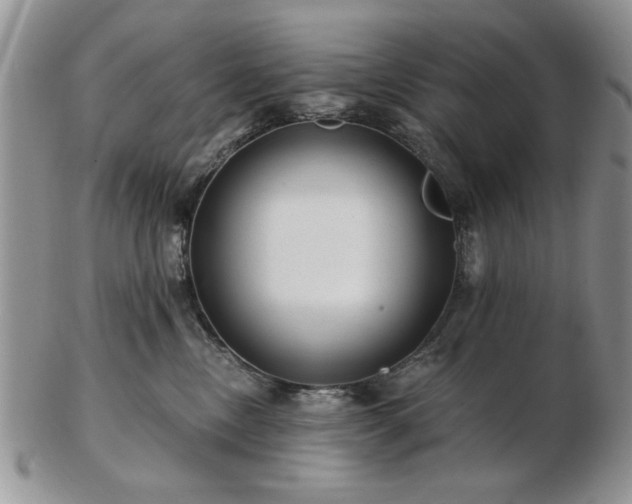 X0000102820378200808251116