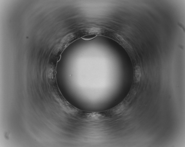 X0000102820379200808251116
