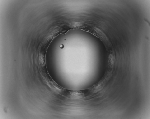 X0000102820380200808251116