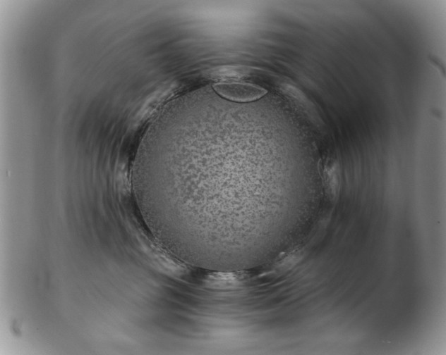 X0000102820381200808251116
