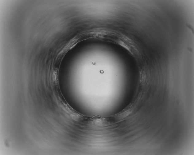 X0000102820382200808251116