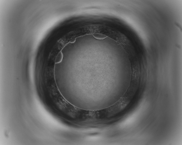 X0000102820383200808251116