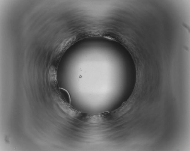 X0000102820384200808251116