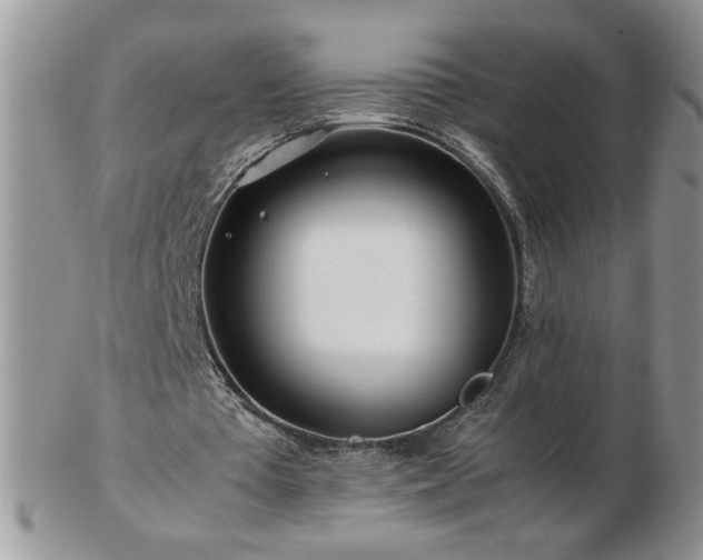 X0000102820385200808251116