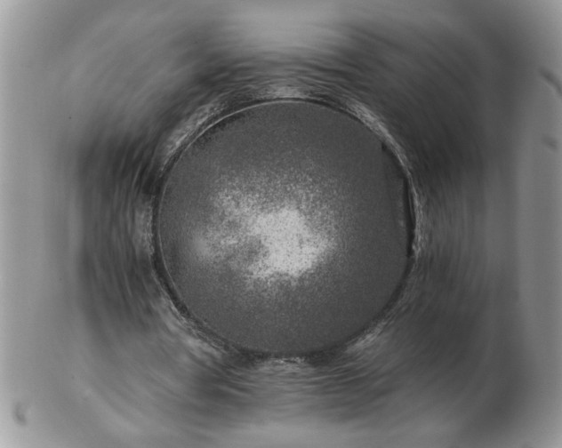 X0000102820386200808251116