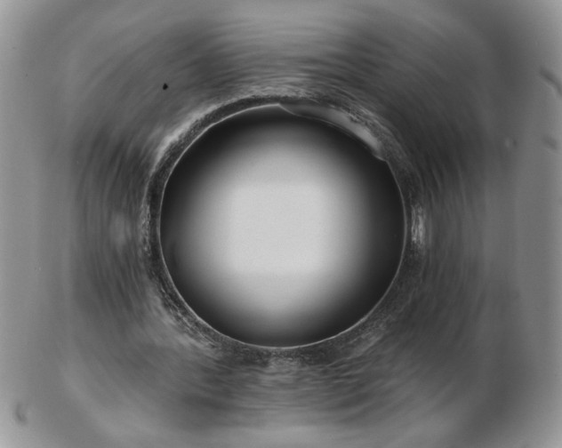 X0000102820388200808251116