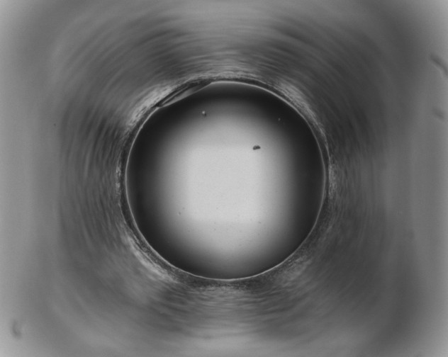 X0000102820389200808251116