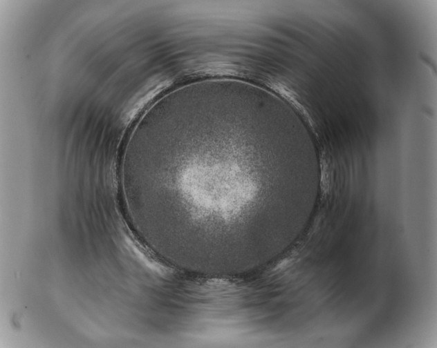 X0000102820390200808251116