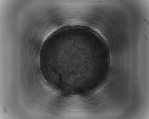 X0000102820391200808251116