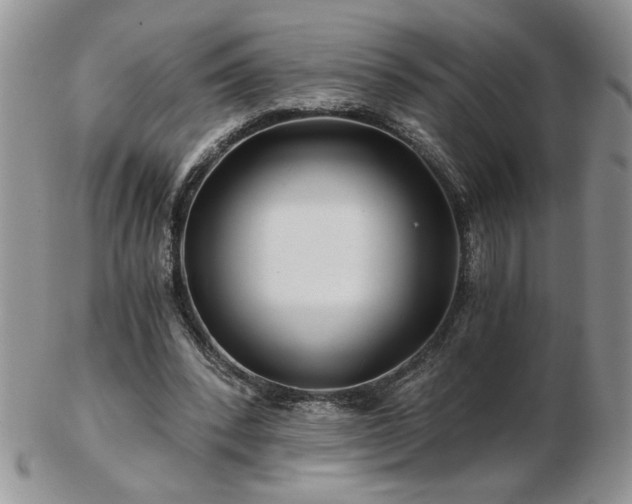 X0000102820392200808251116