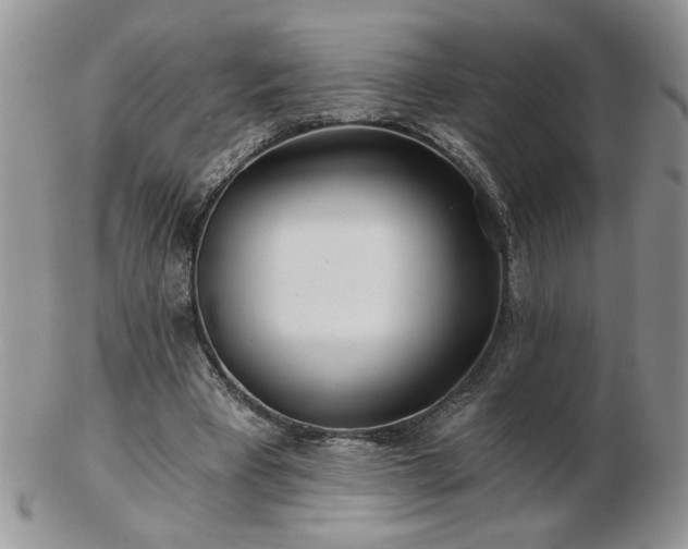 X0000102820393200808251116