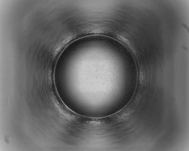 X0000102820394200808251116