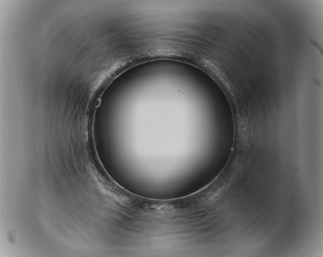 X0000102820395200808251116