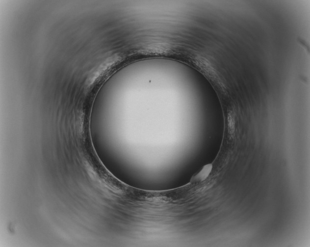X0000102820396200808251116