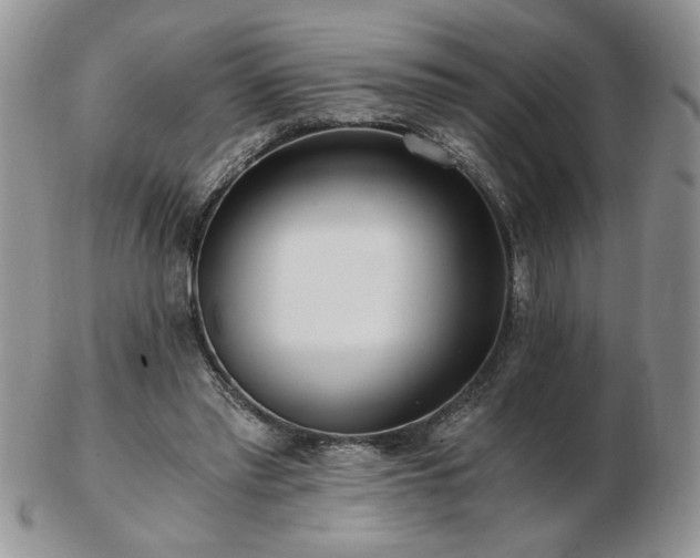 X0000102820397200808251115