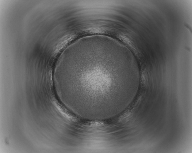 X0000102820398200808251115