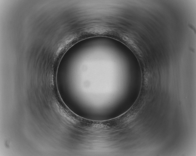 X0000102820399200808251115