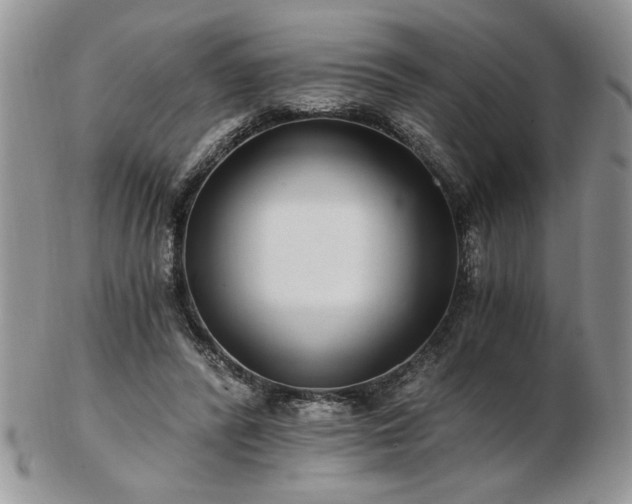 X0000102820400200808251115