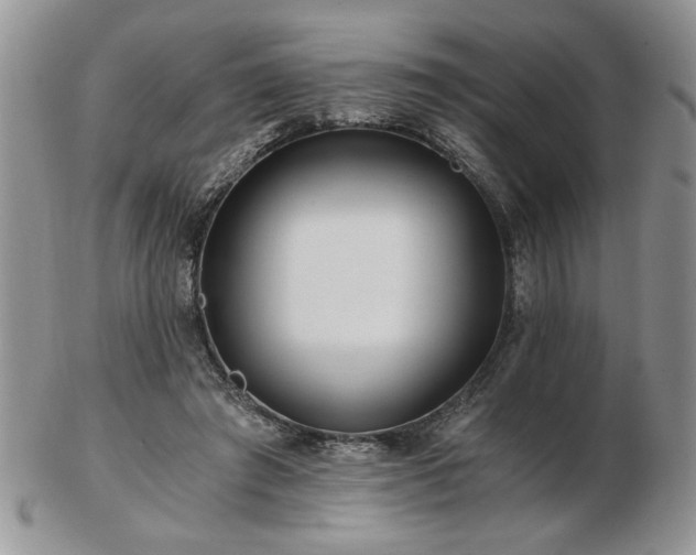 X0000102820401200808251115