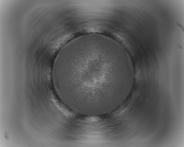 X0000102820402200808251115
