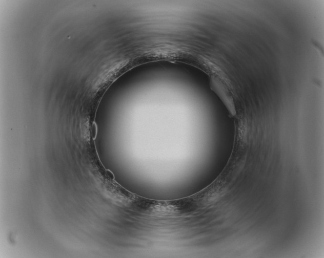 X0000102820403200808251115