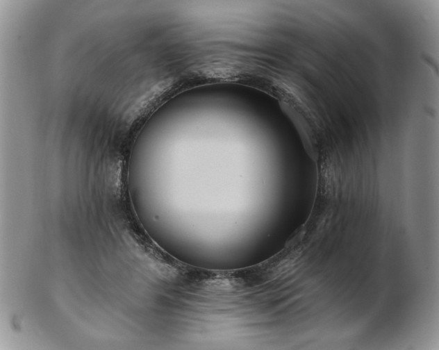 X0000102820404200808251115