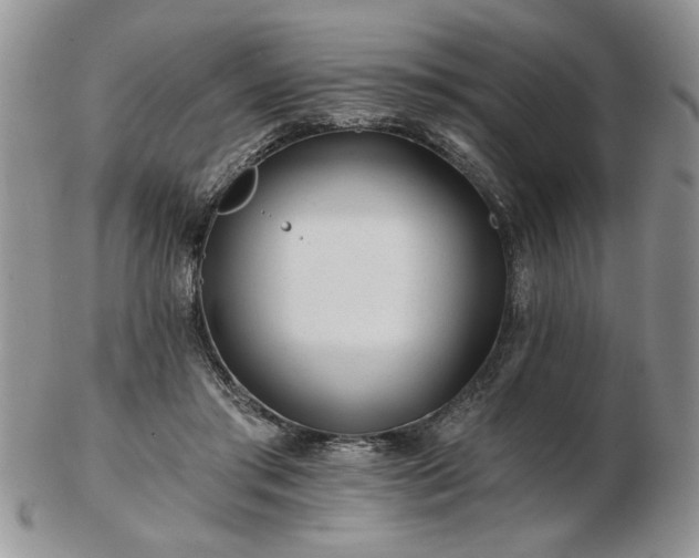 X0000102820405200808251115