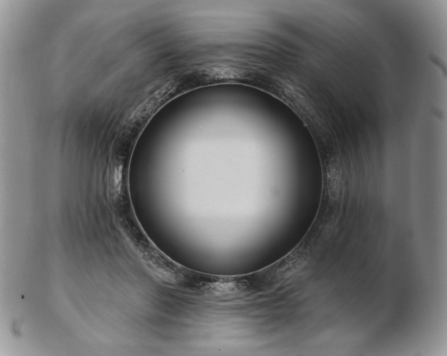 X0000102820406200808251115