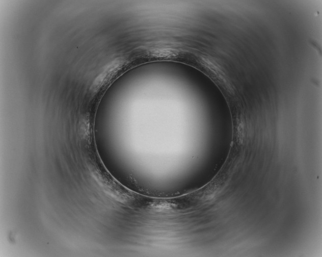 X0000102820407200808251115