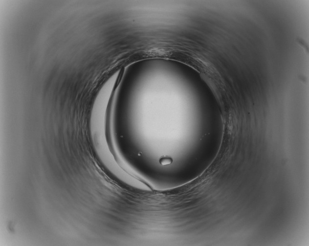 X0000102820409200808251115