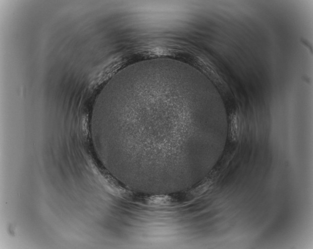X0000102820410200808251115