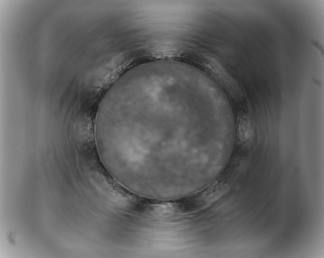 X0000102820411200808251115