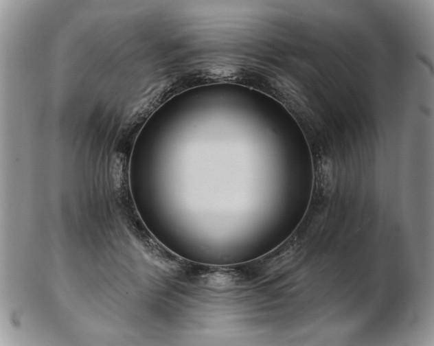 X0000102820412200808251115