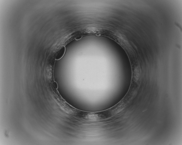 X0000102820413200808251115