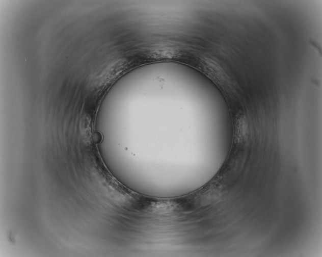 X0000102820414200808251115